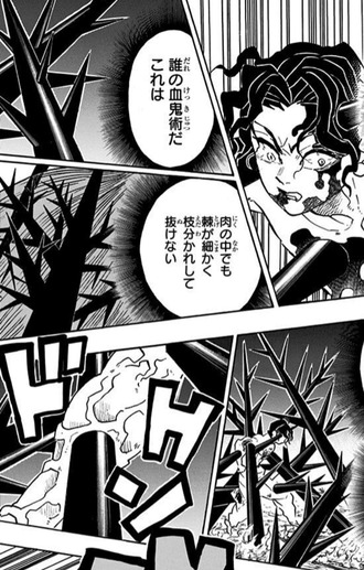 鬼滅の刃 無惨 誰の血鬼術だ これは ねいろ速報さん