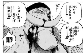 ワンピース 白ひげ 最後の船長命令だ ねいろ速報さん