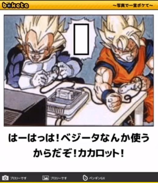 画像 ベジータのbokete ねいろ速報さん