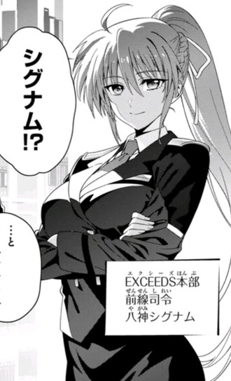 「リリカルなのは EXCEEDS」のシグナムｗｗｗ