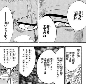 BLEACHキャラは多かれ少なかれだいたいフェイロンみたいなとこがある
