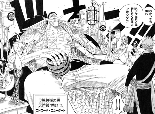ワンピース 白ひげ 頂上戦争で覇王化していた ねいろ速報さん ワンピース 白ひげ 頂上戦争で覇王化していた ねいろ速報さん