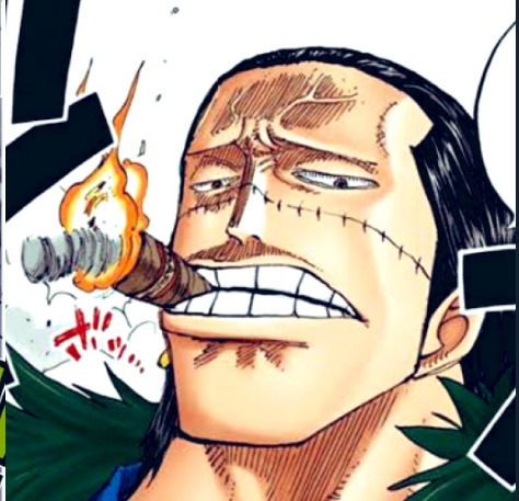 ワンピース クロコダイルとかいう主人公補正で勝てた敵 海賊王に俺はなる ルフィの冒険 One Piece