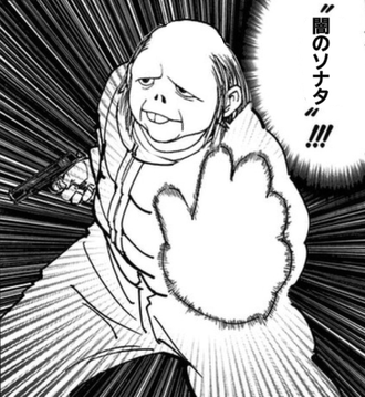 【ハンターハンター】闇のソナタ