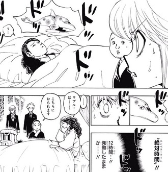 【ハンターハンター】念能力の戦いの一端を知った上で新たに追加装備した能力にしては