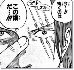 ワンピース シャンクス 左目の傷が疼く ねいろ速報さん ワンピース シャンクス 左目の傷が疼く ねいろ速報さん