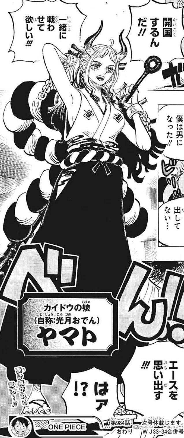 麦わらのルフィ ついにワンピースに辿り着く ねいろ速報さん