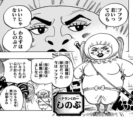 ワンピース 正直しのぶが内通者だと思ってた ねいろ速報さん ワンピース 正直しのぶが内通者だと思ってた ねいろ速報さん