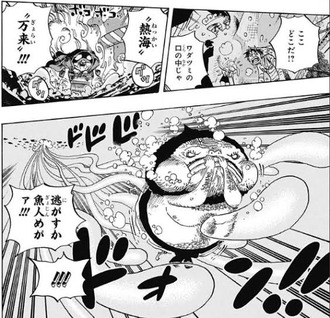 ワンピース ネツネツの実とかいうメラメラより便利で強そうな能力ｗｗｗ 漫画まとめ うさちゃんねる