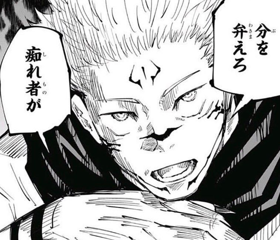 呪術廻戦 宿儺って何で死んだんだ ねいろ速報さん 呪術廻戦 宿儺って何で死んだんだ ねいろ速報さん