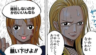 ワンンピース ナミの戦闘スタイルいいよね ねいろ速報さん