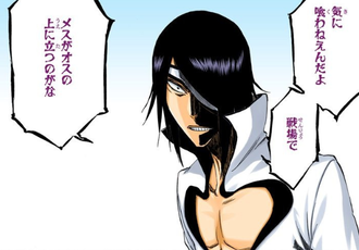 【BLEACH】ノイトラ「俺がエスパーダ最強だ」 401df946 s - 【BLEACH】ノイトラ「俺がエスパーダ最強だ」