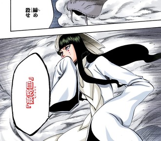 【BLEACH】最も捻りのない解号