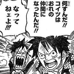 ワンピース ローって何なんだろう ねいろ速報さん ワンピース ローって何なんだろう ねいろ速報さん