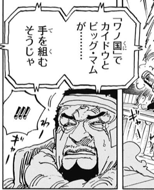 ワンピース 藤虎 カイドウとマムが手を組む ねいろ速報さん ワンピース 藤虎 カイドウとマムが手を組む ねいろ速報さん