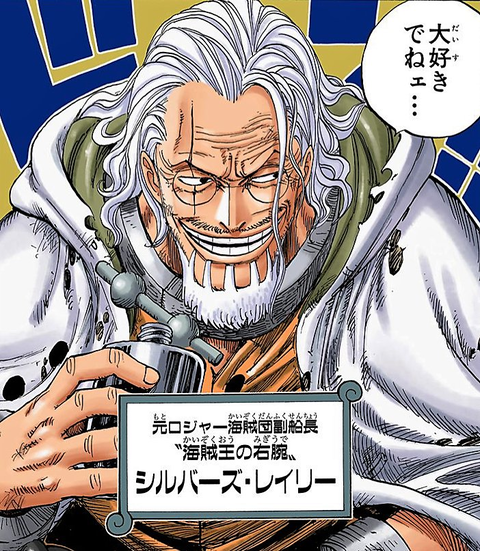 ワンピース レイリー出て来た時のワクワク感 ねいろ速報さん ワンピース レイリー出て来た時のワクワク感 ねいろ速報さん