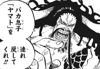 ワンピース カイドウとかいう百獣海賊団のボスｗｗｗ ねいろ速報さん