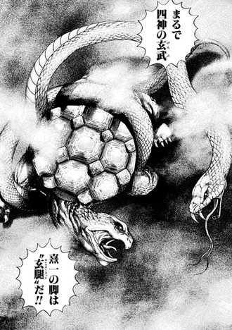 四神で玄武が一番格上扱いなの珍しくない？
