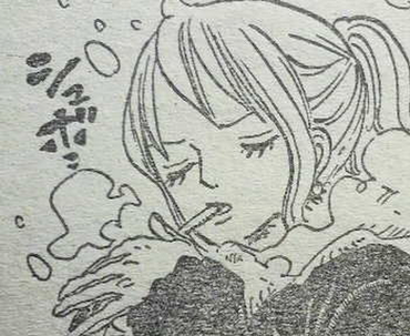 ワンピース ナミさん 結婚相手がいない ねいろ速報さん ワンピース ナミさん 結婚相手がいない ねいろ速報さん