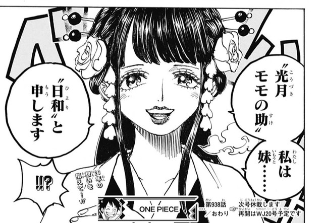 画像あり ワンピースのワノ国編 年上の妹というマニアックなキャラが登場する ねいろ速報さん