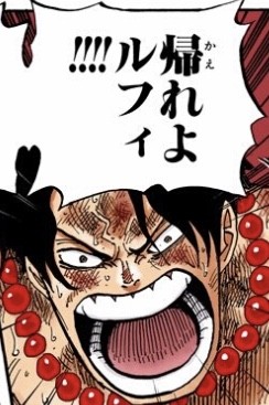 ワンピースでみんな勘違いしているであろう事 ねいろ速報さん ワンピースでみんな勘違いしているであろう事 ねいろ速報さん