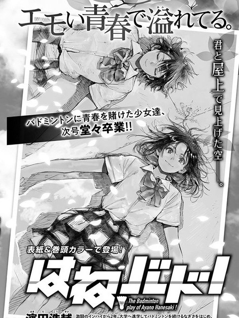悲報 はねバド ついに完結 ねいろ速報さん 悲報 はねバド ついに完結 ねいろ速報さん