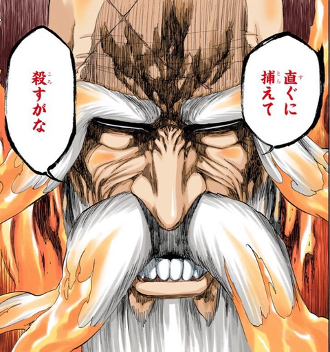 Bleach 山本元柳斎重國 怖すぎる ねいろ速報さん