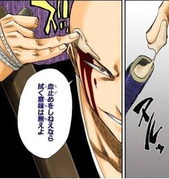 【BLEACH】一角の刀の謎