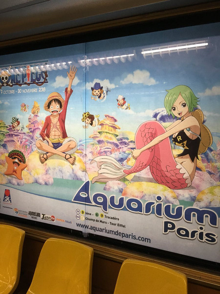 画像 ワンピース フランス人の投票で人気アニメを決める大会で一位を獲得 漫画まとめ うさちゃんねる 画像 ワンピース フランス人の投票で人気アニメを決める大会で一位を獲得 漫画まとめ うさちゃんねる