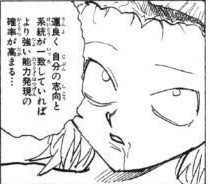【ハンターハンター】こいつ実は結構強いらしいな