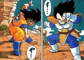 悟空とベジータ初戦とバビディに操られた時しか戦ってないのか？
