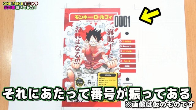 ワンピース 麦わらの一味 副船長はゾロ まとめ ねいろ速報さん