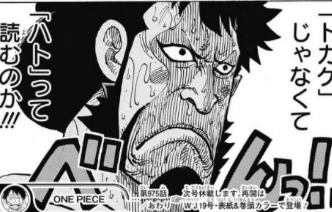 ワンピース 錦えもん ハトって読むのか ワンピース 錦えもん ハトって読むのか