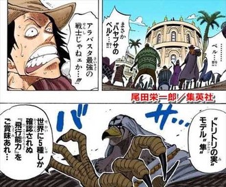 ワンピース 世界に5種 ねいろ速報さん