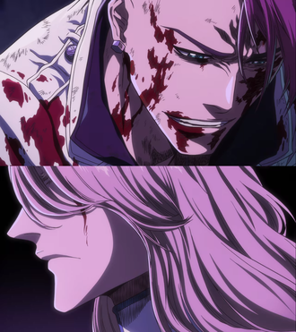 【BLEACH】お前に敗けたらもっと悔しいもんだと思ってたぜ