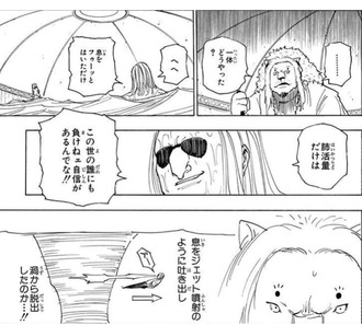 【ハンターハンター】勢いで読んでても何それ…ってなる部分