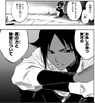 Bleach 夜一 おぬしの持つ斬月の真の力について 漫画まとめ うさちゃんねる