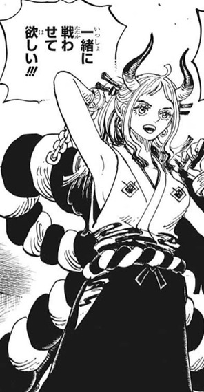 ワンピース ヤマトの年齢が判明する ねいろ速報さん