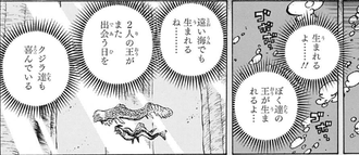 ワンピース ジョイボーイの正体 ルフィ説 ねいろ速報さん