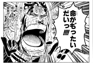 ワンピース ぼく 七武海を大将無しで捕まえろだなんて 命がもったいない ねいろ速報さん