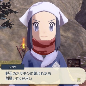 ショウ ポケモンに襲われたら回避してください ねいろ速報さん