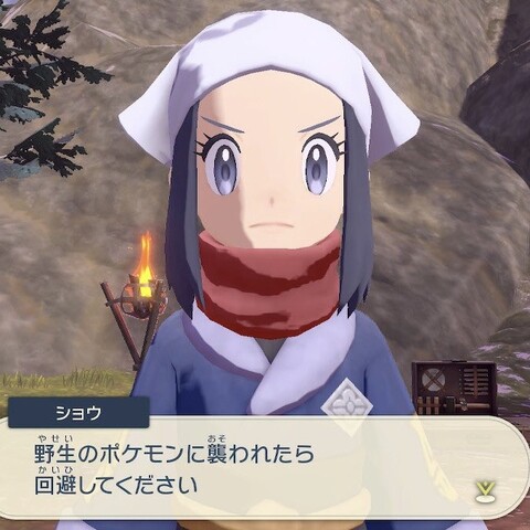 ショウ ポケモンに襲われたら回避してください ねいろ速報さん