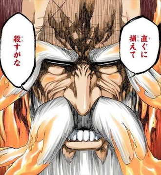 【BLEACH】山爺「直ぐに捕えてすがな」 908ea794 s - 【BLEACH】山爺「直ぐに捕えてすがな」