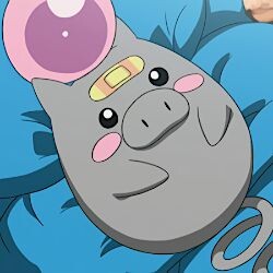 【ポケモン】か弱き生き物