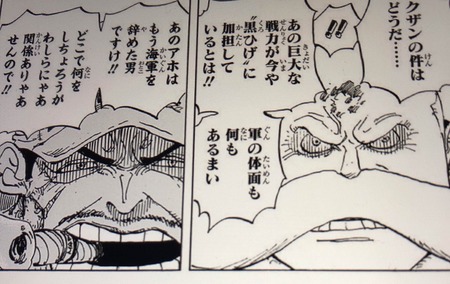 ワンピース 青雉っていつから黒髭の部下になったん 漫画まとめ うさちゃんねる