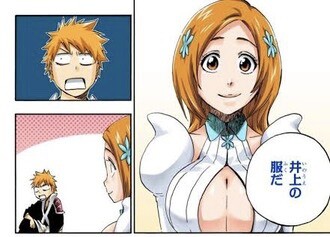 Bleach 一護の初恋は織姫です ルキアへの 好き は 辛子明太子が好き というものと同じ感情 ねいろ速報さん