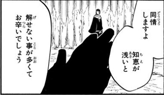 Bleach ゾマリ 知恵が浅いと解せないことがあ多くて大変でしょう ねいろ速報さん