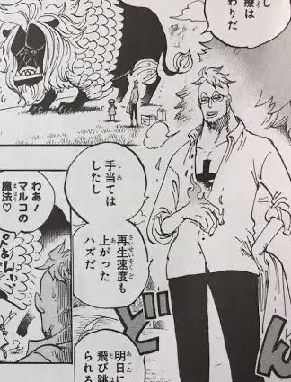 ワンピース マルコの炎 他人も治せるとか凄いよな ねいろ速報さん