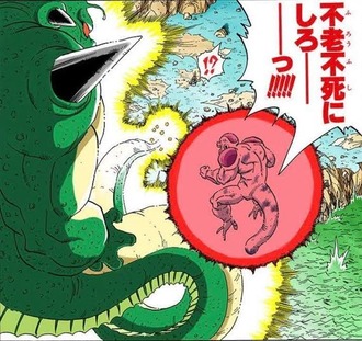 【悲報】ドラゴボの敵キャラさん、神龍への願い事がショボい