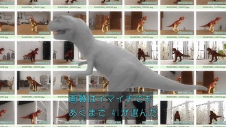 IMG_3706